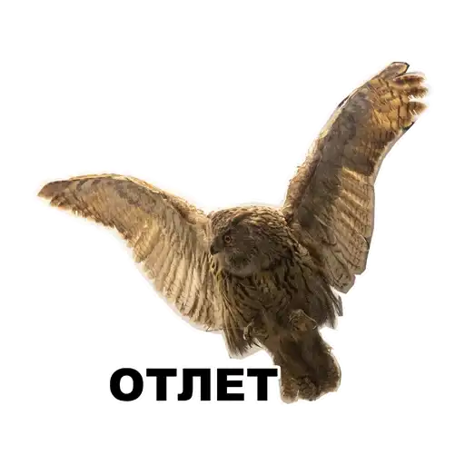 Среда обитания preview