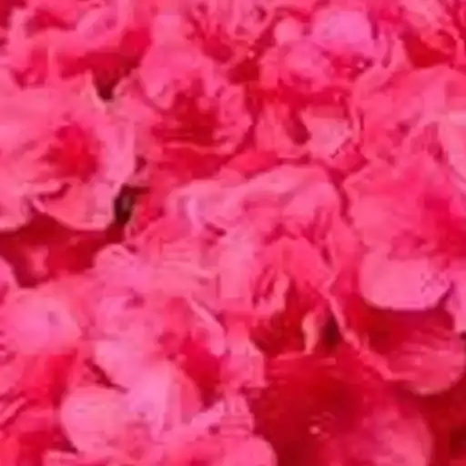 С праздником preview