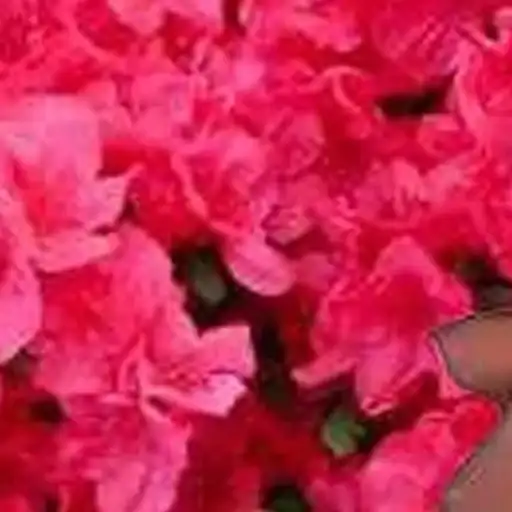 С праздником preview