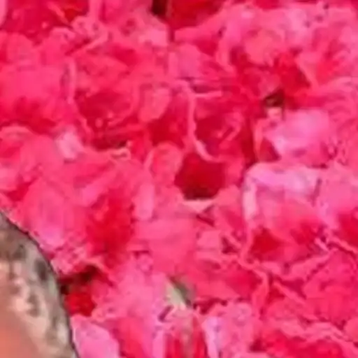 С праздником preview