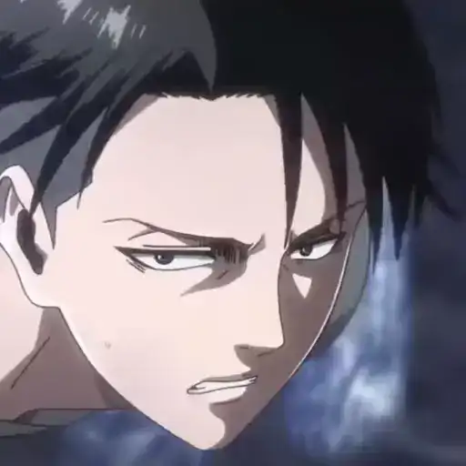 Levi Ackerman preview