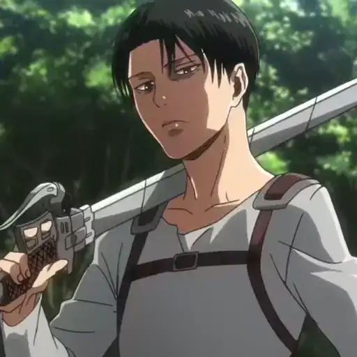 Levi Ackerman preview