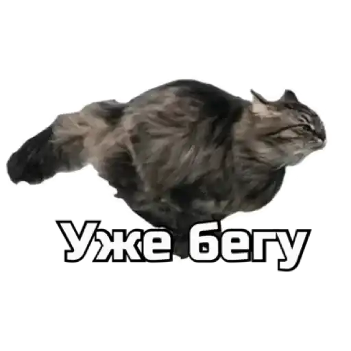 Sticker 🏃‍♀️