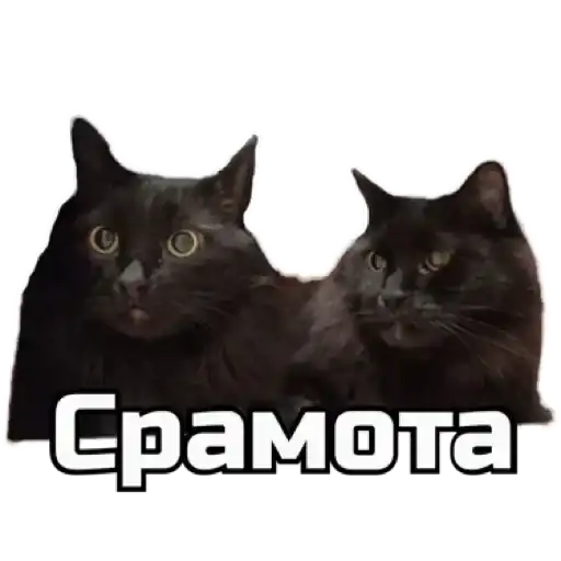 Sticker 🤦‍♀️