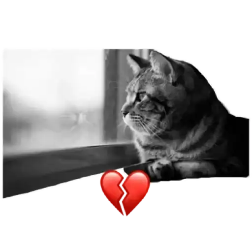 Sticker 💔