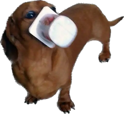 Sticker 😶‍🌫️