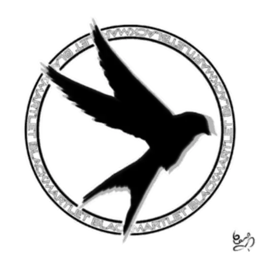 ᴠᴋ» ʙʏ preview