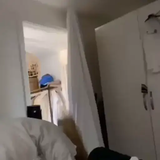 Sticker 🐈‍⬛️