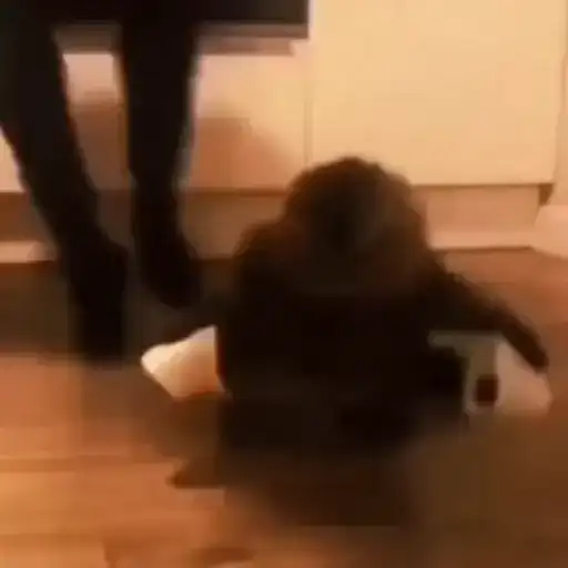 Sticker 🐈‍⬛️