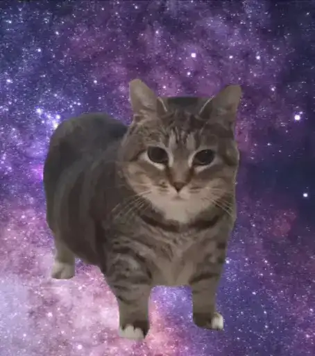 🌟 Сделай preview