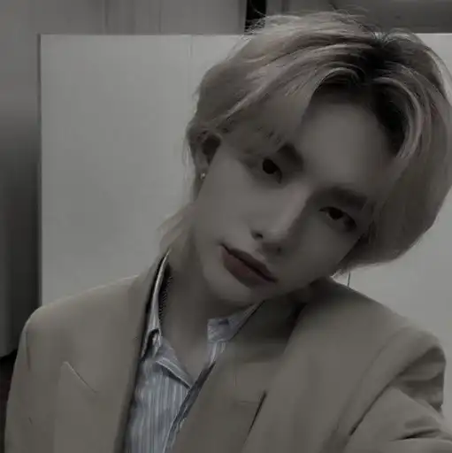 Hyunjin ₊ 🐾 ˚ ׅ preview