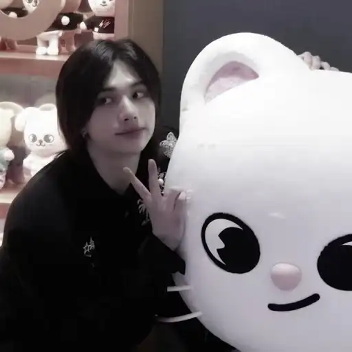 Hyunjin ₊ 🐾 ˚ ׅ preview