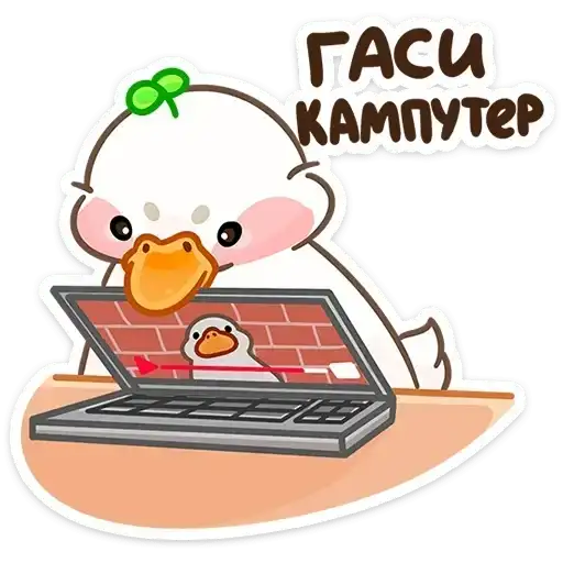 Sticker 💻
