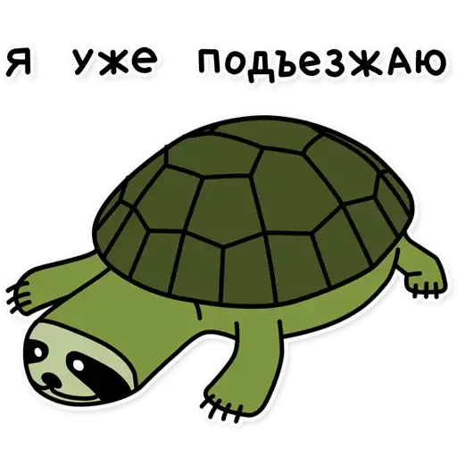 Sticker 🐢