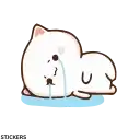 Sticker 😿