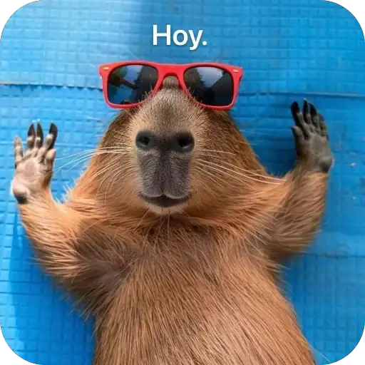 Sticker 🙅‍♂️