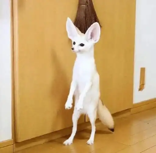 Sticker 🧍‍♂️