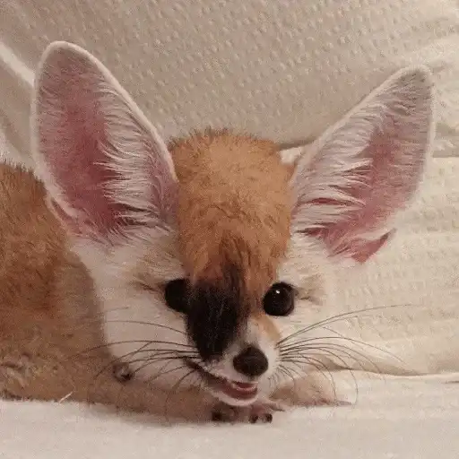 Sticker 👱‍♂️