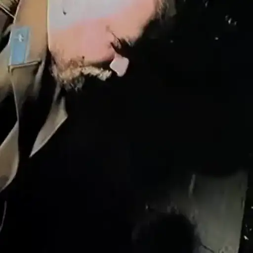 Green Elephant pt.1 preview