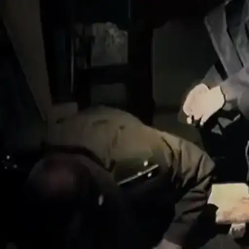 Green Elephant pt.1 preview