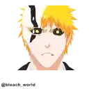 Bleach preview