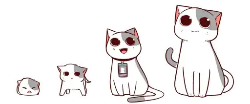 Sticker 🐈
