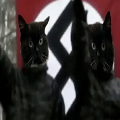 Sticker 🏳️‍⚧️