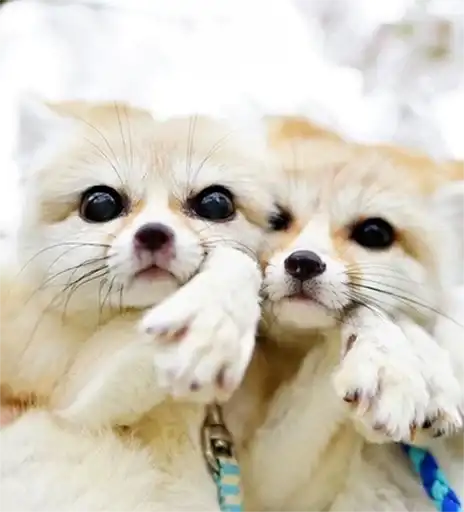 Sticker 👩‍❤️‍👨