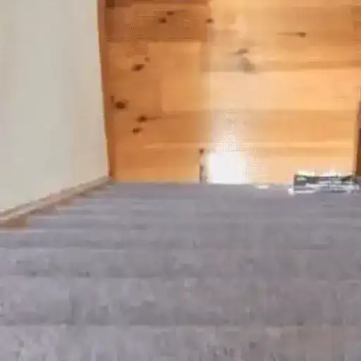 Sticker 🏃‍♂️