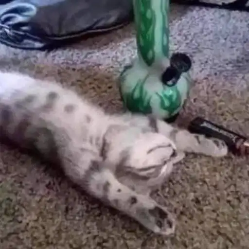 Sticker 🤵‍♂️