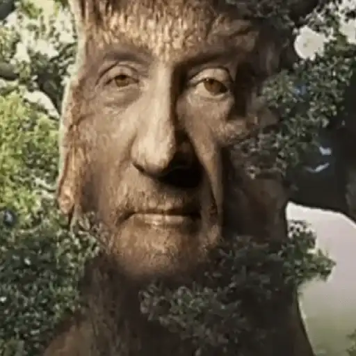 Мудрое мистическое дерево preview