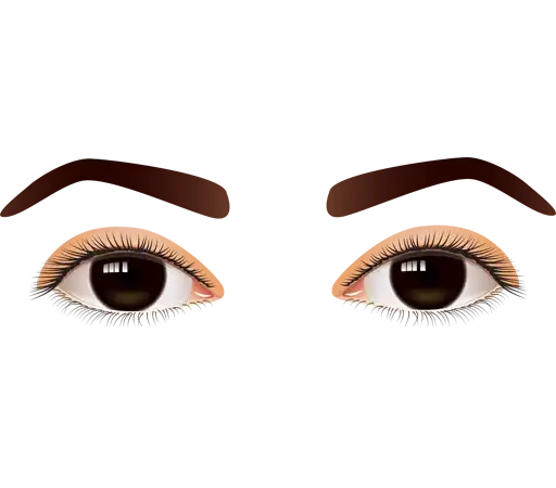 Eyes ਅੱਖਾਂ preview