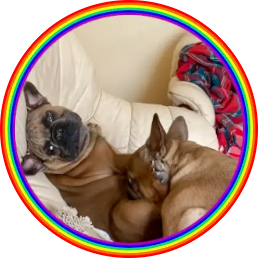 Sticker 🏳️‍🌈