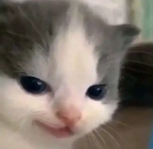 Sticker 🐈‍⬛️