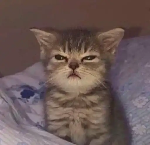 Sticker 🐈‍⬛️