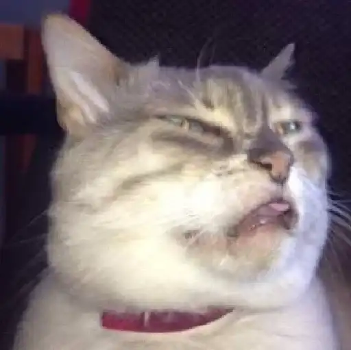 Sticker 🐈‍⬛️