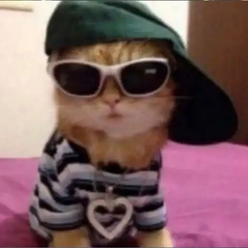 Sticker 🐈‍⬛️