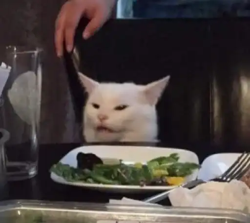 Sticker 🐈‍⬛️