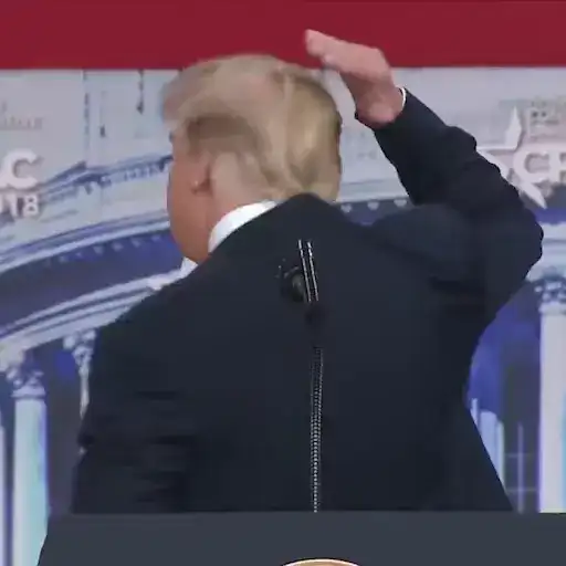 Trump & Biden preview