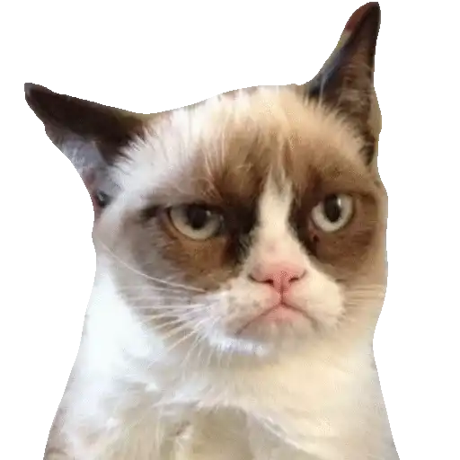 Sticker 🐱