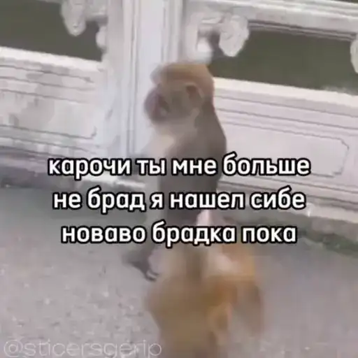 Обезьянки preview