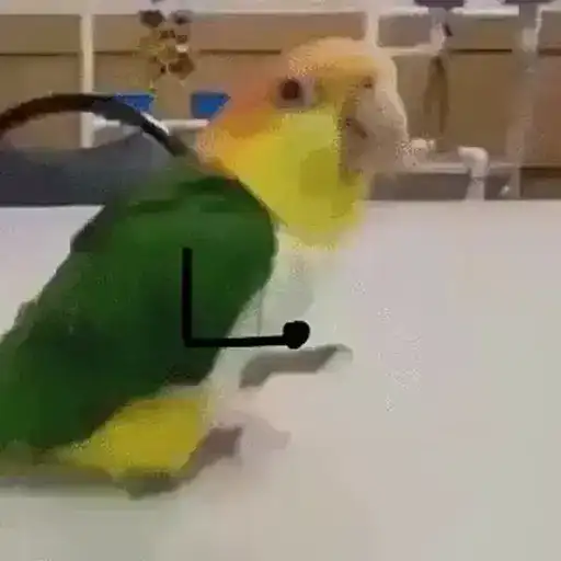 Sticker 🚶‍♂️