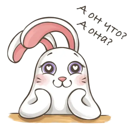 Sticker 🐰