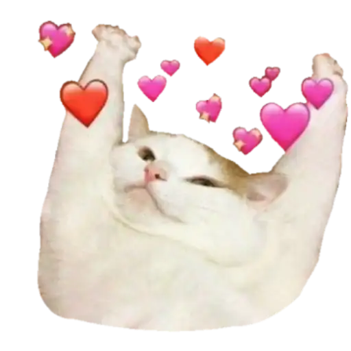 Sticker ❤️