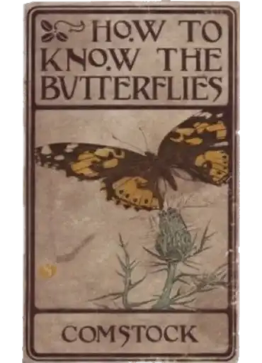 Sticker 🧚‍♂️