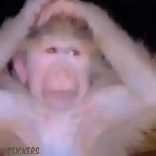 Sticker 🤦‍♂️