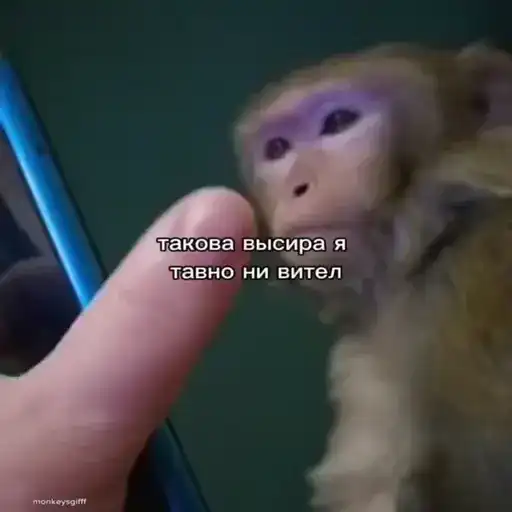 Sticker 😶‍🌫️