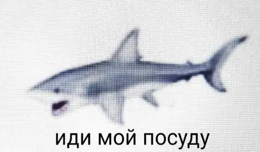 Sticker 🙋‍♀️