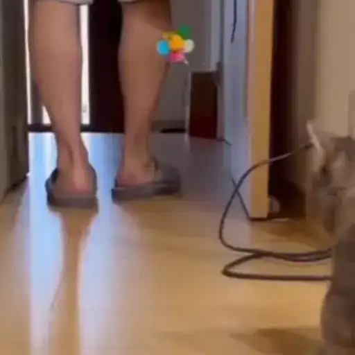 Sticker 🏃‍♀️