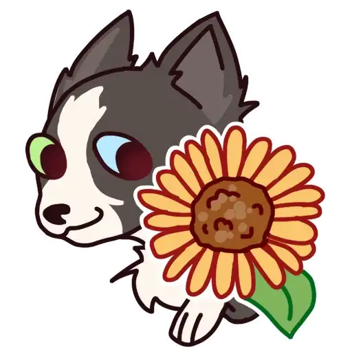 Autumn Nosework preview